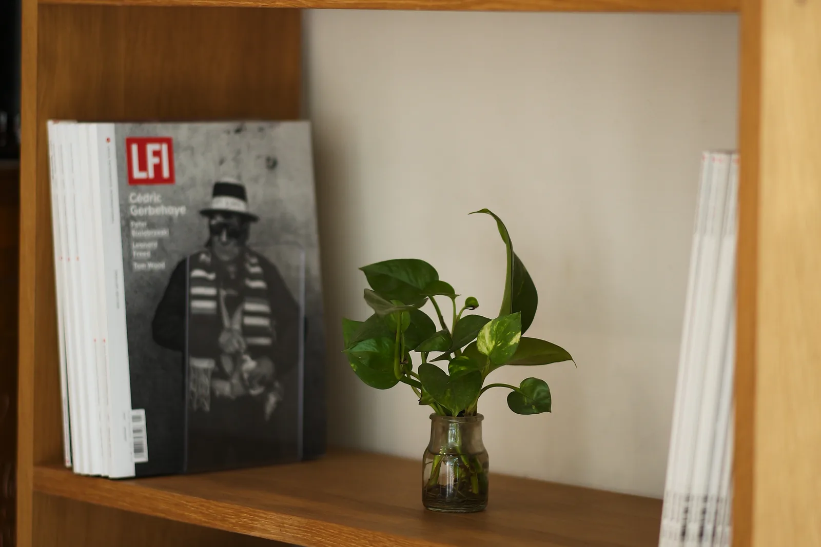 候診區書架上疊放著攝影雜誌，旁邊一只玻璃瓶水耕黃金葛